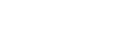 Platinum Motoring logo
